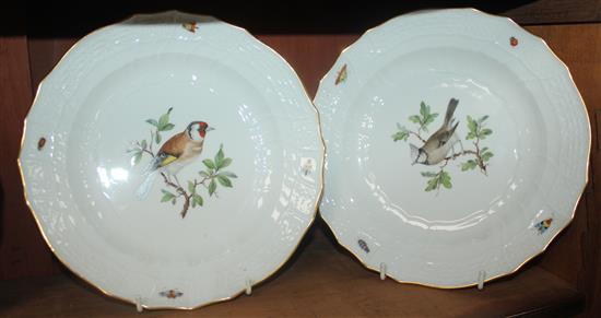 A set of twelve Meissen ornithological dinner plates, 19th century, 24cm